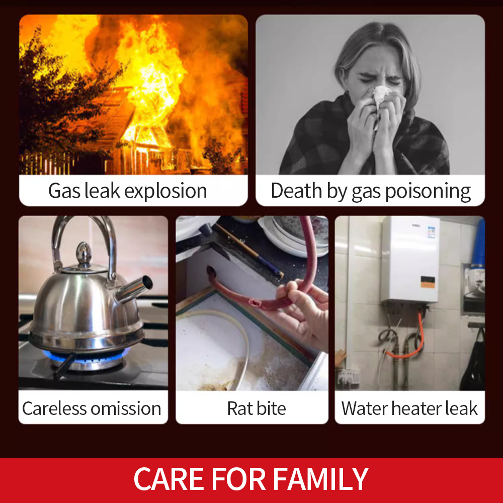 Gas Leak Detector Combustible  - Smart Gas Leak Detector Lpg 评论和价格