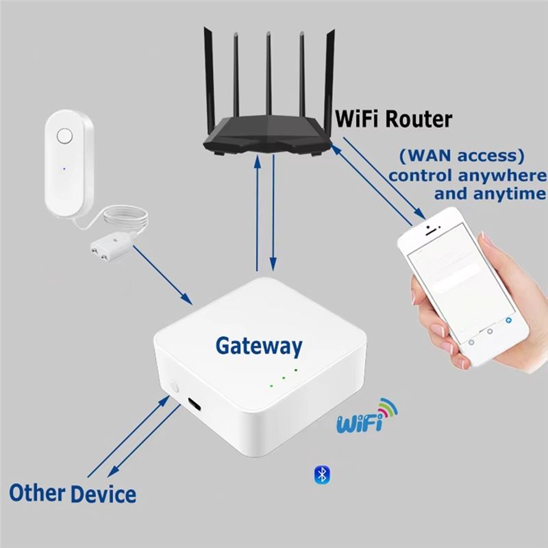 ABZW WIFI Water Sensor Alarm W - Water Leak Detector Wifi Alarm 评论和价格