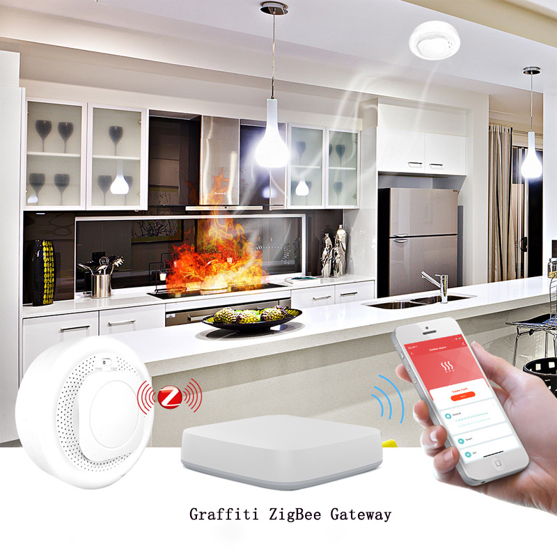Kitchen Fire Detection Indepen - Zigbee Smoke Sensor Tuya 评论和价格