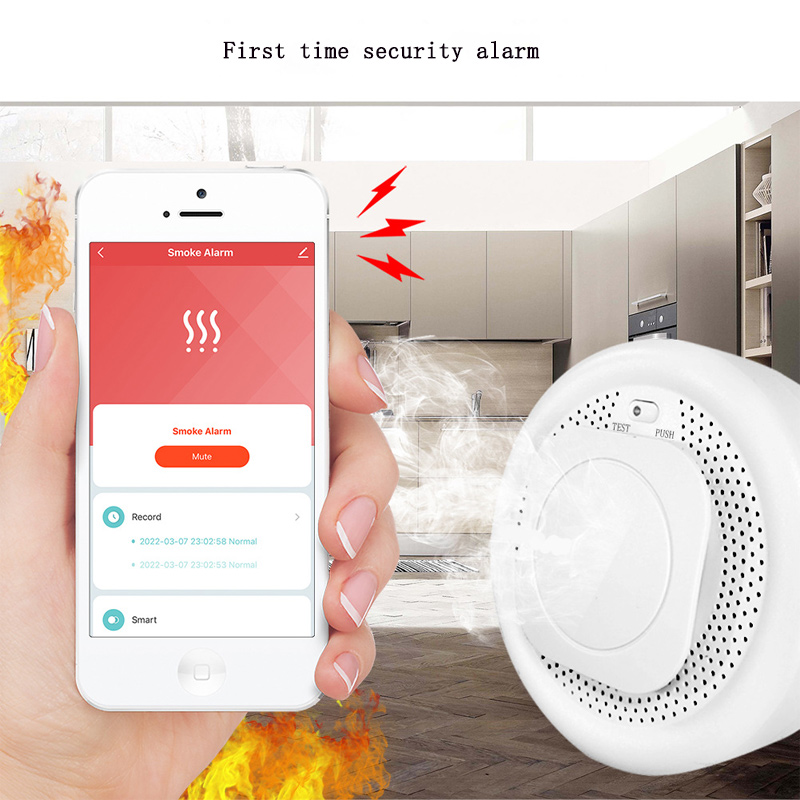 Independent Combustible Gas De - Zigbee Smoke Sensor Tuya 评论和价格