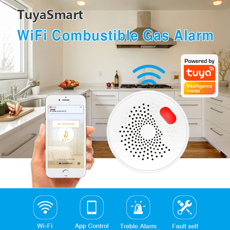 EU/US/UK Tuya Smart Home 2.4G  - Smart Gas Leak Detector Lpg 评论和价格
