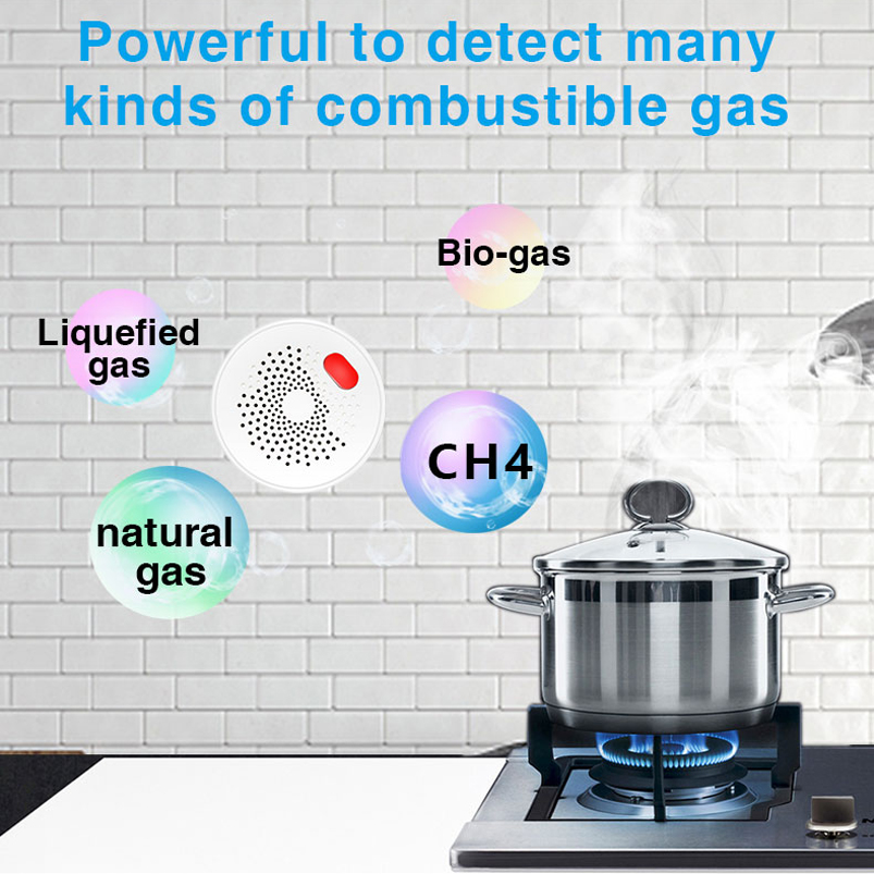 EU/US/UK Tuya Smart Home 2.4G  - Smart Gas Leak Detector Lpg 评论和价格