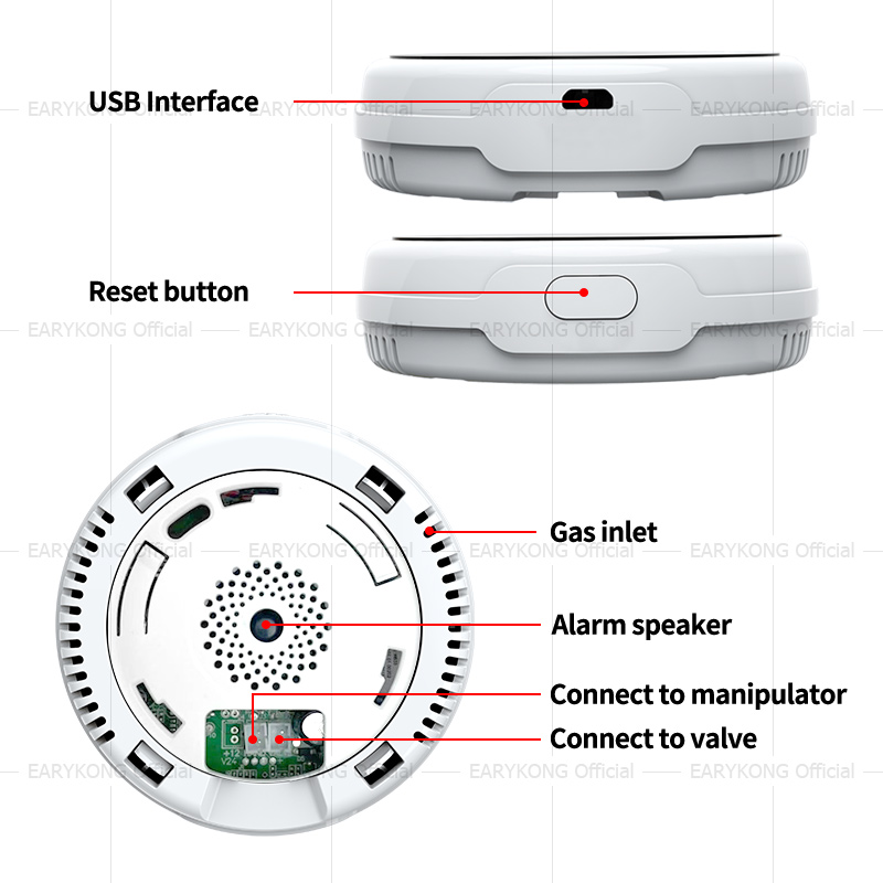 Tuya WiFi Gas Detector Home LP - Smart Gas Leak Detector Lpg 评论和价格