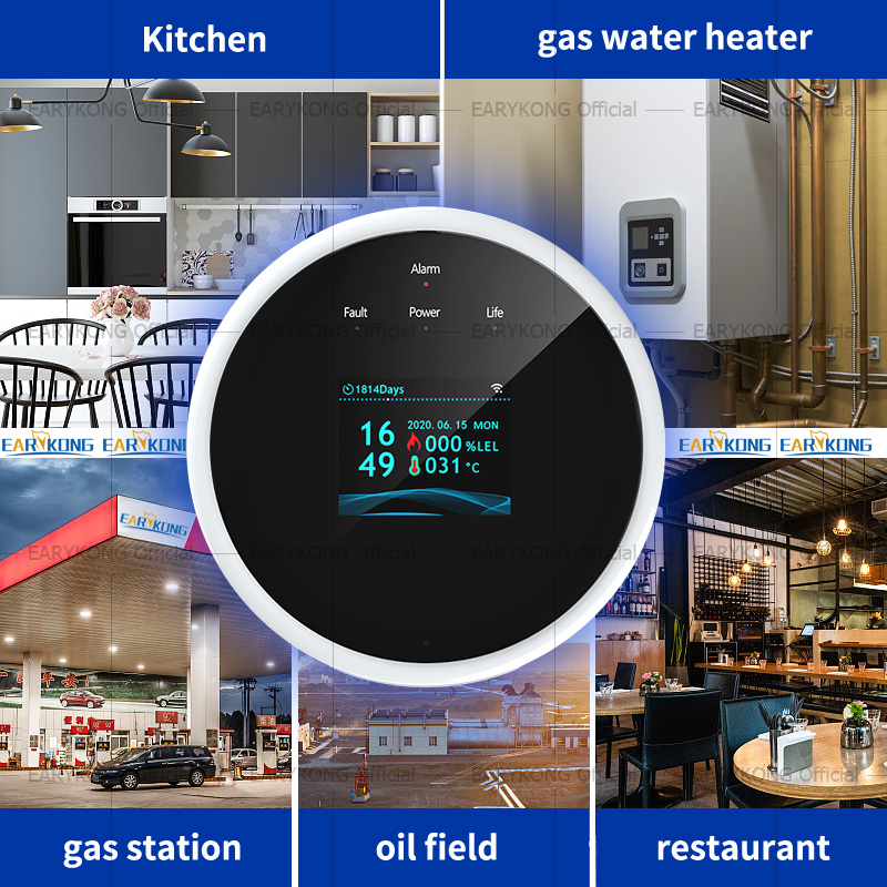 Tuya WiFi Gas Detector Home LP - Smart Gas Leak Detector Lpg 评论和价格