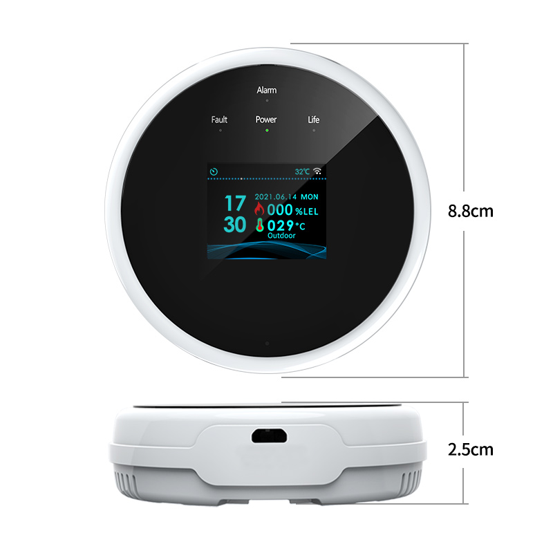 Tuya WiFi Gas Detector Home LP - Smart Gas Leak Detector Lpg 评论和价格