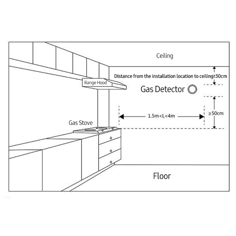 Wifi Gas Leak Detector And Fir - Smart Gas Leak Detector Lpg 评论和价格