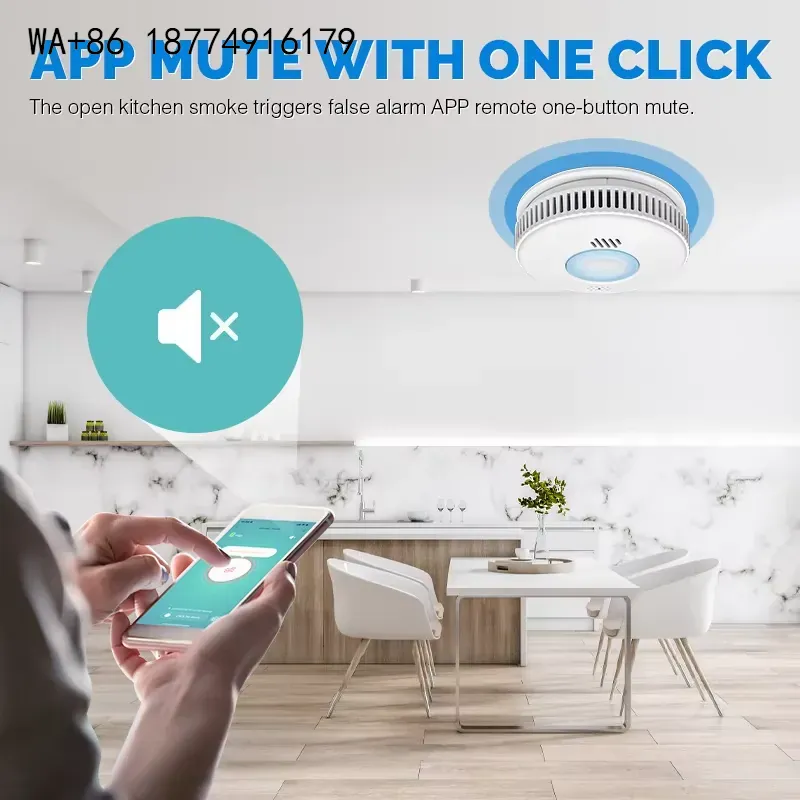 wmwmnu Original Producer EN146 - Smart Smoke Detector Wifi 评论和价格