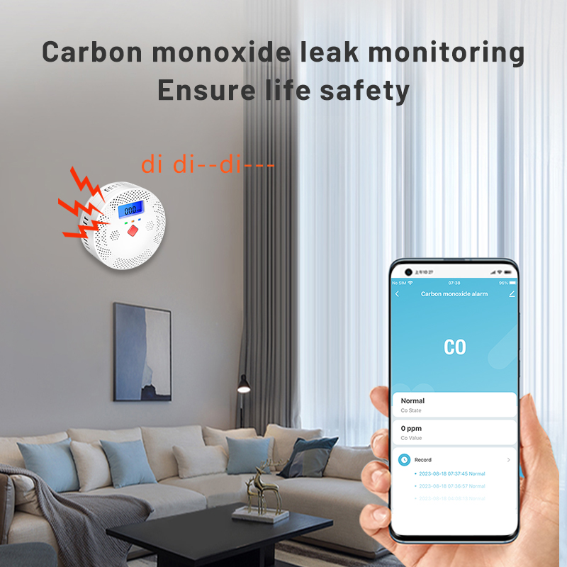 Tuya WiFi Smart Carbon Monoxid - Carbon Monoxide Detector Combo 评论和价格
