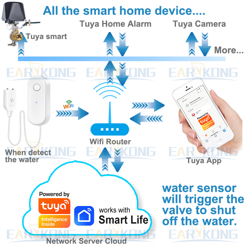 Tuya WiFi Smart Water Leak Sen - Water Leak Detector Wifi Alarm 评论和价格
